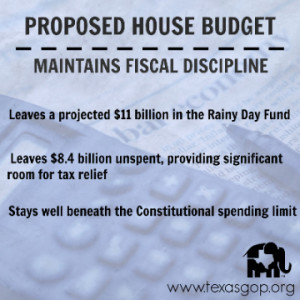 House Budget 1