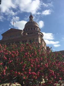 Spring Capitol